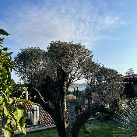 Champagne Portoroz