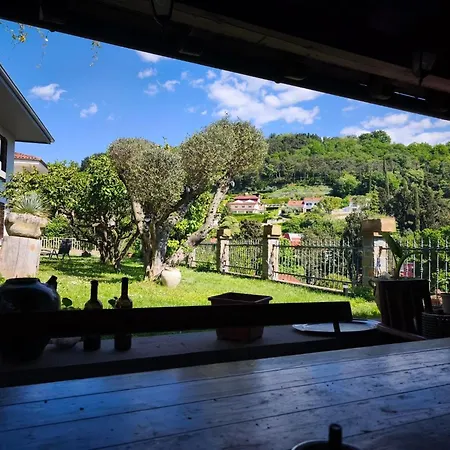 Champagne 포르토로즈