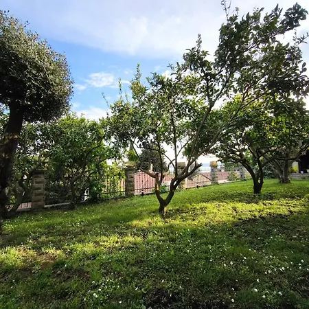 Champagne * 포르토로즈