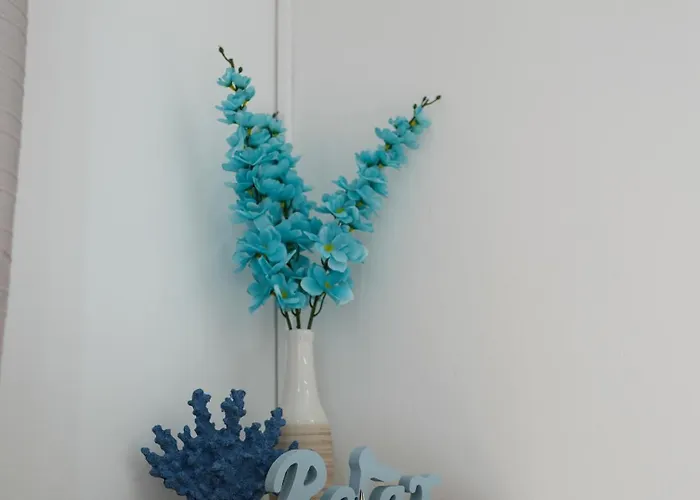 Champagne 波尔托罗