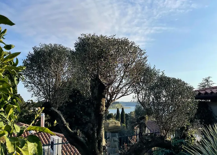 Champagne 波尔托罗