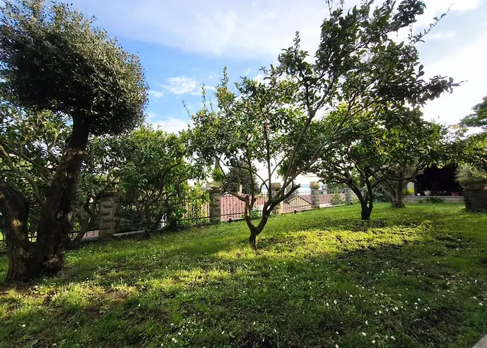 Champagne * 波尔托罗